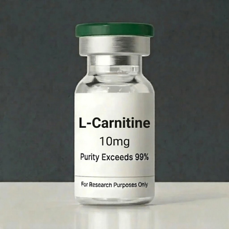 Premium L-Carnitine Solution | 10ml * 10 Vials | Research Grade